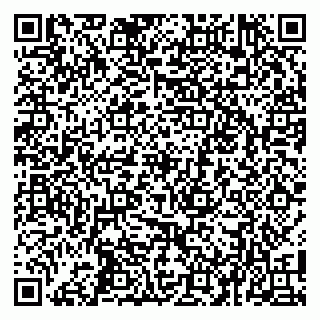 vCard 79100017963