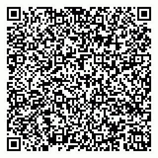 vCard 79100018065
