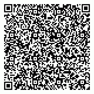 vCard 79100018085