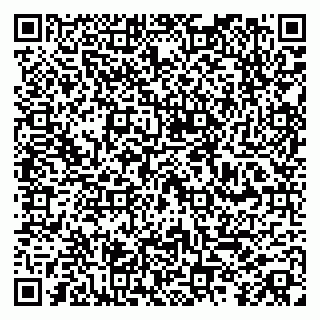 vCard 79100018331