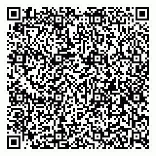 vCard 79100018335