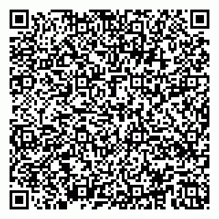 vCard 79100018380