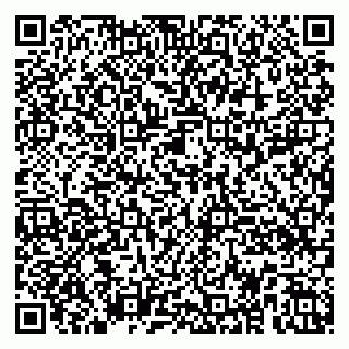 vCard 79100018397