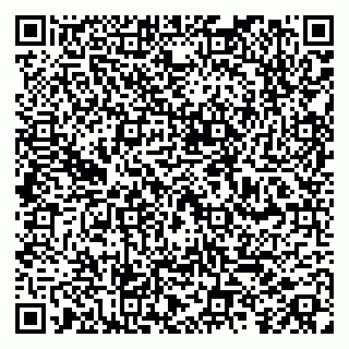vCard 79100018399