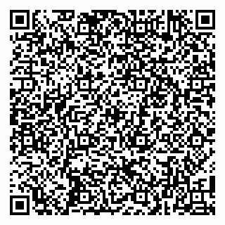 vCard 79100018403