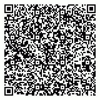 vCard 79100018533