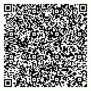 vCard 79100018705
