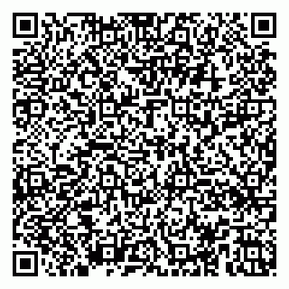 vCard 79100018733