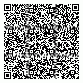 vCard 79100018735