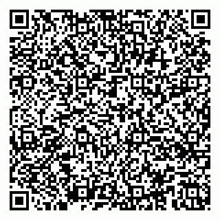 vCard 79100018740