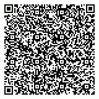 vCard 79100018771