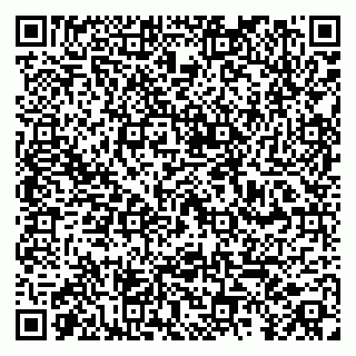 vCard 79100018929