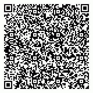 vCard 79100018933