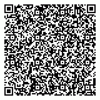 vCard 79100018963