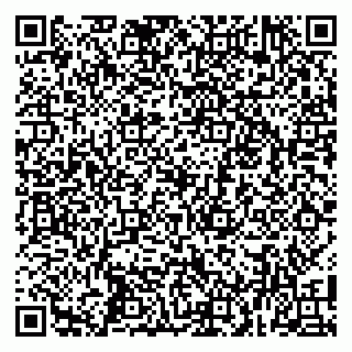 vCard 79100019013