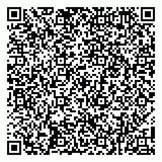 vCard 79100019028