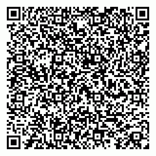 vCard 79100019031