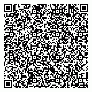 vCard 79100019053