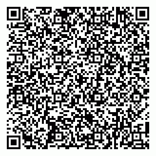 vCard 79100019063