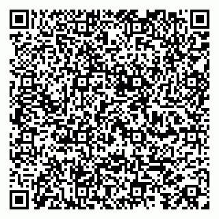 vCard 79100019175