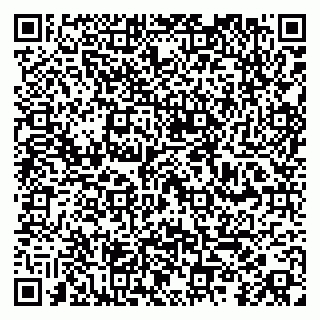 vCard 79100019207