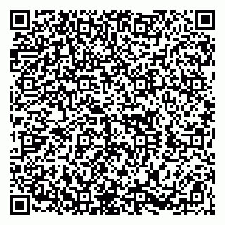 vCard 79100019233
