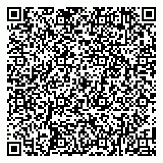 vCard 79100019331