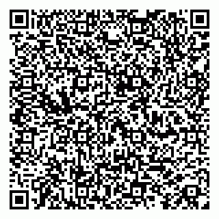vCard 79100019334