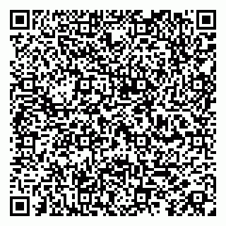vCard 79100019335