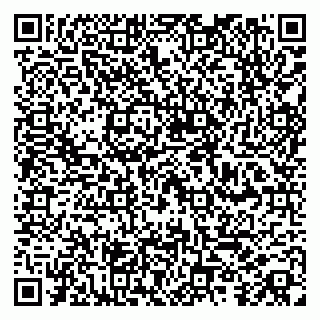 vCard 79100019384