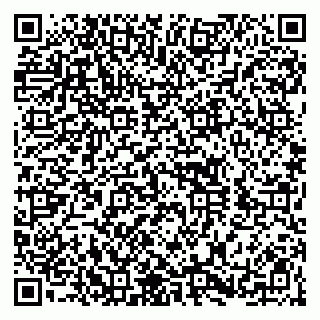 vCard 79100019397
