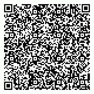 vCard 79100019403