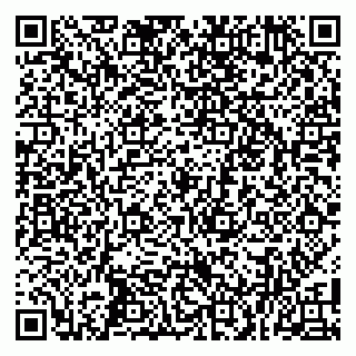 vCard 79100019451