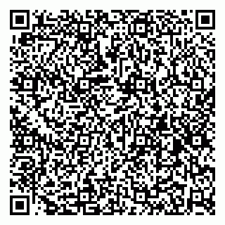 vCard 79100019508