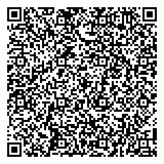 vCard 79100019540