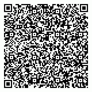 vCard 79100019541
