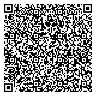 vCard 79100020008