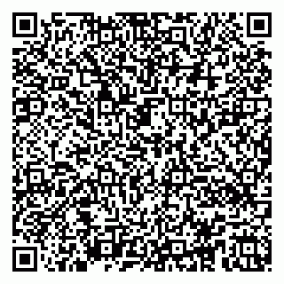 vCard 79100020109