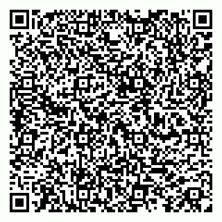 vCard 79100020331