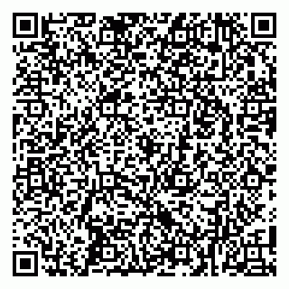 vCard 79100023331