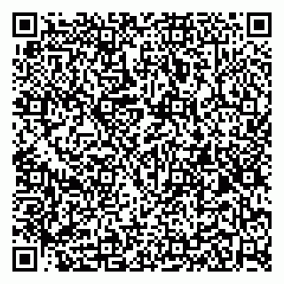vCard 79100023933
