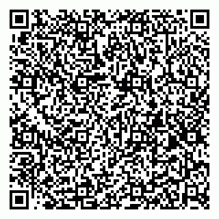 vCard 79100023937