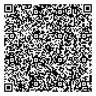 vCard 79100024331