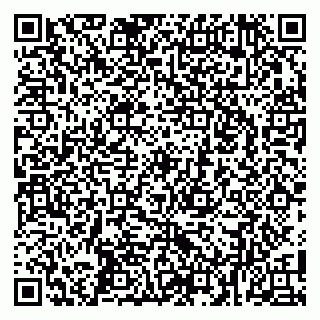 vCard 79100026331