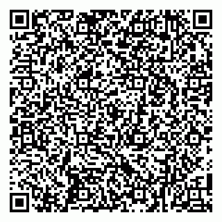 vCard 79100027331