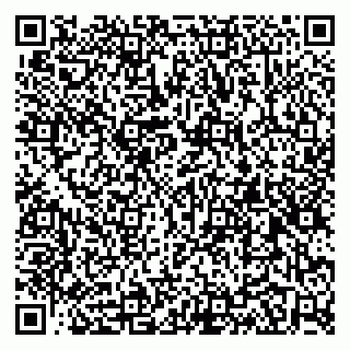 vCard 79100028811
