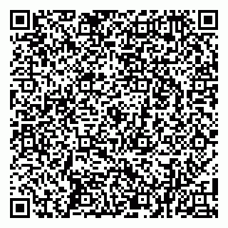 vCard 79100029068