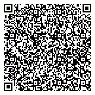 vCard 79100029131