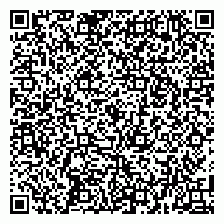 vCard 79100029294