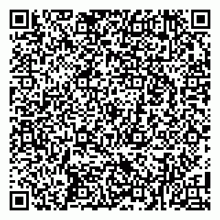 vCard 79100029331